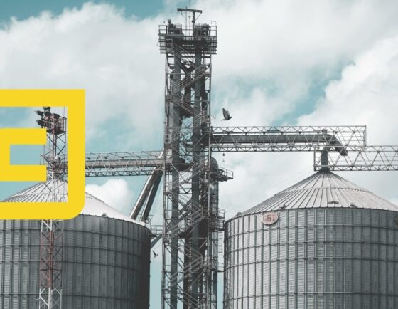 Werken in de zuivelindustrie